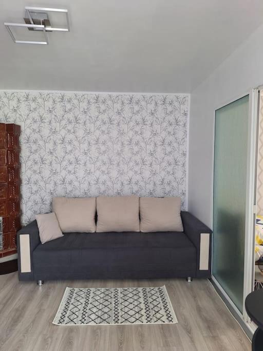 Miha'S Apartament スリナ エクステリア 写真
